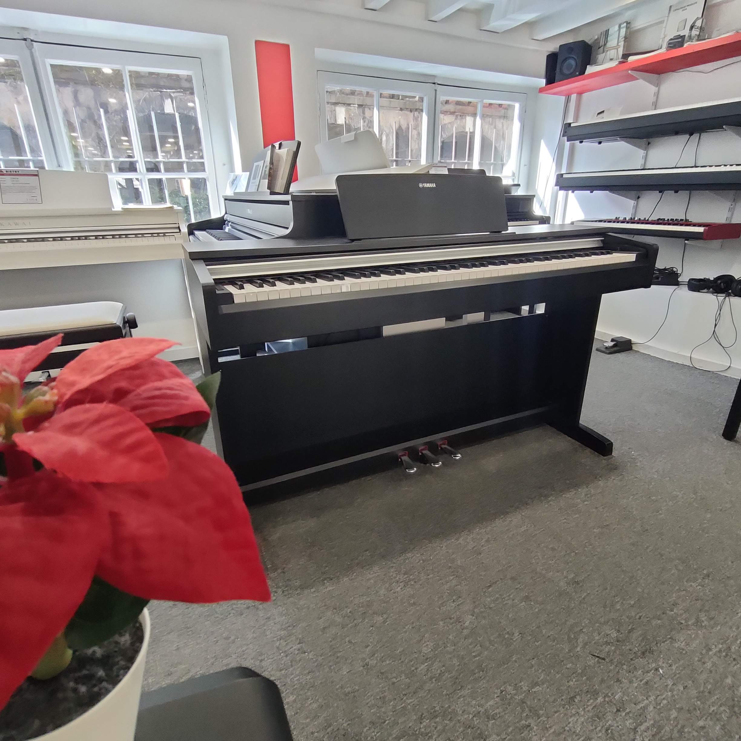 Piano d'occasion Yamaha Arius YDP-142 | Bietry Musique